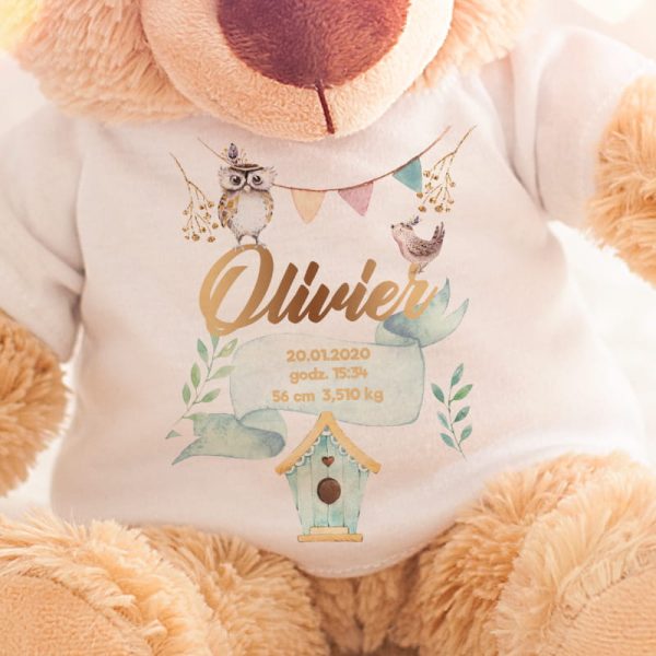 Przytulanka dla dziecka w postaci pluszowego misia. Pluszak ma koszulkę w białym kolorze oraz personalizację i grafikę z uroczą sową.