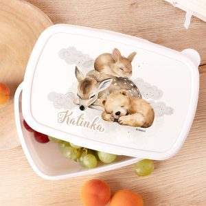 Lunchbox dla przedszkolaka. Śniadaniówka do przedszkola