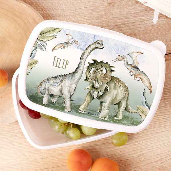 Śniadaniówka z dinozaurami dla dziecka. Personalizowany lunchbox na prezent.