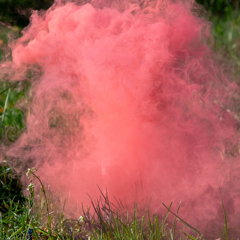 Różowa chmura dymu unosi się nad zieloną trawą, z dodatkowymi drobnymi roślinami w tle.