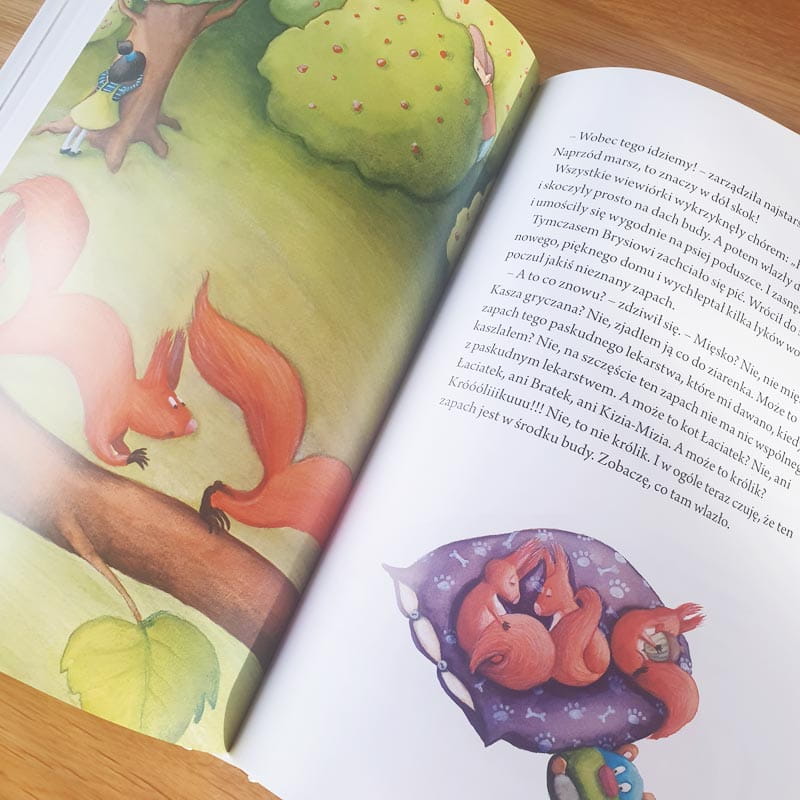 Ilustracja z książki przedstawiająca dwa wesołe wiewiórki na gałęzi drzewa oraz postać dziecka w niebieskiej koszuli, stojącego na tle zielonego krajobrazu z drzewami i krzewami. W kącie obrazka widoczna jest grupa śpiących wiewiórek na poduszce z fioletowym wzorem.